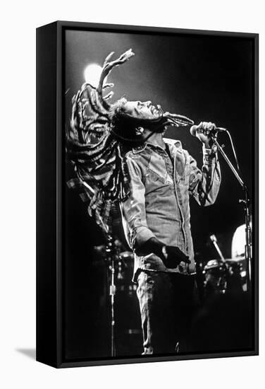Bob Marley En Concert De Reggae Au Roxy, Los Angeles Le 26 Mai 1976-null-Framed Stretched Canvas