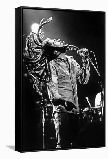 Bob Marley En Concert De Reggae Au Roxy, Los Angeles Le 26 Mai 1976-null-Framed Stretched Canvas