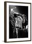 Bob Marley En Concert De Reggae Au Roxy, Los Angeles Le 26 Mai 1976-null-Framed Photo