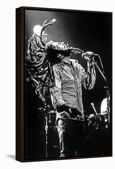 Bob Marley En Concert De Reggae Au Roxy, Los Angeles Le 26 Mai 1976-null-Framed Stretched Canvas