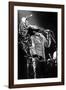 Bob Marley En Concert De Reggae Au Roxy, Los Angeles Le 26 Mai 1976-null-Framed Photo