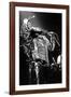 Bob Marley En Concert De Reggae Au Roxy, Los Angeles Le 26 Mai 1976-null-Framed Photo