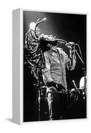 Bob Marley En Concert De Reggae Au Roxy, Los Angeles Le 26 Mai