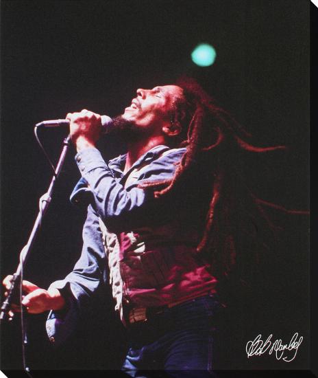 Bob Marley: Live In Concert-null-Stretched Canvas
