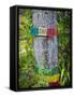 Bob Marley Mausoleum, 9 Mile, St. Ann Parish, Jamaica, Caribbean-Doug Pearson-Framed Stretched Canvas