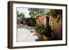 Bob Marley's House, Jamaica-null-Framed Photographic Print