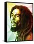 Bob Marley-Enrico Varrasso-Framed Stretched Canvas