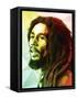 Bob Marley-Enrico Varrasso-Framed Stretched Canvas