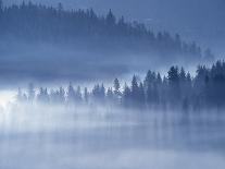 Mist Hiding Trees Above the Little Spokane River Valley-Bob Rowan-Photographic Print