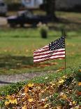 Small American Flag Posted in Yard-Bob Rowan-Photographic Print