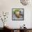 Bob Scobey - Direct from San Francisco-null-Framed Stretched Canvas displayed on a wall