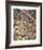 Bob White Quails I-Chris Forrest-Framed Limited Edition