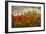 Bobbi’s Poppies-David Winston-Framed Giclee Print