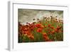 Bobbi’s Poppies-David Winston-Framed Giclee Print