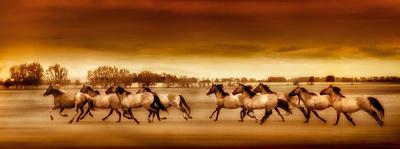 Mustangs on the Move-Bobbie Goodrich-Giclee Print