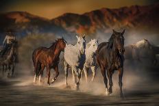 Mustangs on the Move-Bobbie Goodrich-Giclee Print