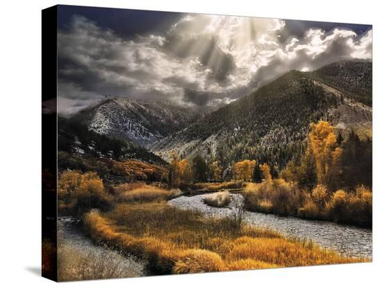Stretched Canvas Print, , large