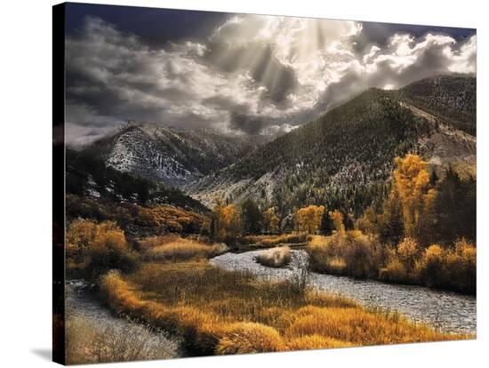 Stretched Canvas Print, , large