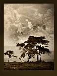 Tanzanian Landscape-Bobbie Goodrich-Art Print