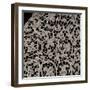 Bobbin Lace Shawl with Floral and Vegetable Motifs, Approximately 1650-null-Framed Giclee Print