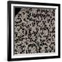 Bobbin Lace Shawl with Floral and Vegetable Motifs, Approximately 1650-null-Framed Giclee Print