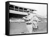 Bobby Byrne, Pittsburgh Pirates, Baseball Photo - Pittsburgh, PA-Lantern Press-Framed Stretched Canvas