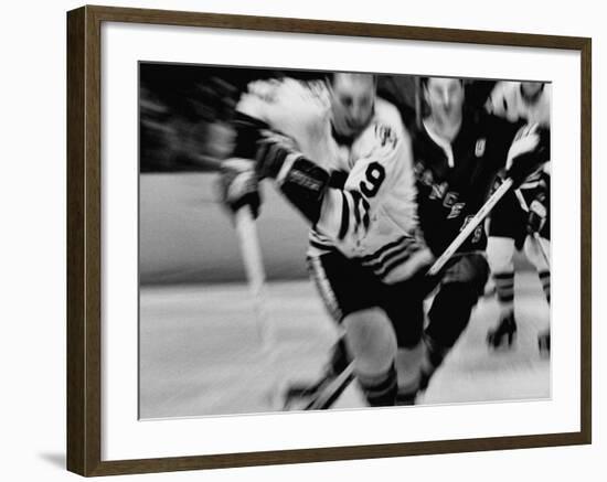 Bobby Hull No.9 in Action During Game Between Chicago Black Hawks and NY Rangers-Art Rickerby-Framed Premium Photographic Print
