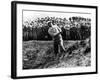 Bobby Jones at the British Amateur Golf Championship at St. Andrews, Scotland, June 1930-null-Framed Art Print