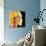 Bobby Timmons - From the Bottom-null-Mounted Art Print displayed on a wall