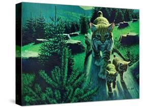 Bobcat and Kittens-Stan Galli-Stretched Canvas
