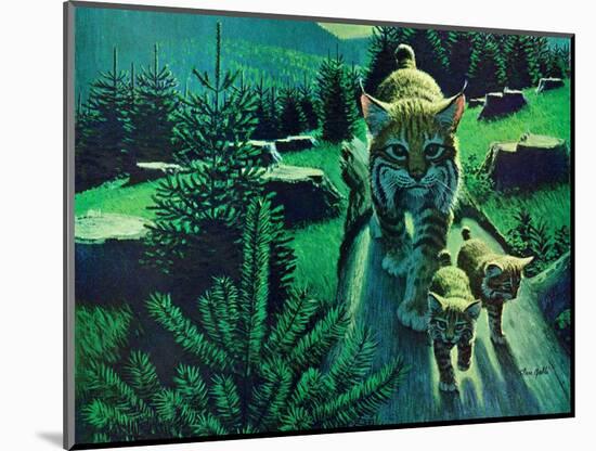 Bobcat and Kittens-Stan Galli-Mounted Giclee Print