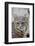 Bobcat Closeup-Hal Beral-Framed Photographic Print