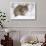 Bobcat in Snow-W. Perry Conway-Framed Photographic Print displayed on a wall