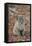 Bobcat (Lynx rufus) cub, sitting, Florida, USA-Edward Myles-Framed Stretched Canvas