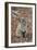 Bobcat (Lynx rufus) cub, sitting, Florida, USA-Edward Myles-Framed Photographic Print