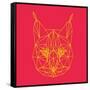 Bobcat Polygon 2-Lisa Kroll-Framed Stretched Canvas