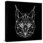 Bobcat Polygon1-Lisa Kroll-Stretched Canvas
