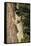 Bobcat profile, climbing tree, Montana-Yitzi Kessock-Framed Stretched Canvas