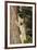 Bobcat profile, climbing tree, Montana-Yitzi Kessock-Framed Premium Photographic Print