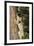Bobcat profile, climbing tree, Montana-Yitzi Kessock-Framed Premium Photographic Print