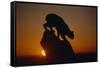 Bobcat Silhouette at Sunrise-W. Perry Conway-Framed Stretched Canvas