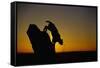 Bobcat Silhouette at Sunrise-W. Perry Conway-Framed Stretched Canvas