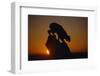 Bobcat Silhouette at Sunrise-W. Perry Conway-Framed Photographic Print