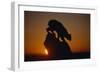 Bobcat Silhouette at Sunrise-W. Perry Conway-Framed Photographic Print