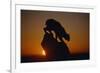 Bobcat Silhouette at Sunrise-W. Perry Conway-Framed Photographic Print