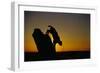 Bobcat Silhouette at Sunrise-W. Perry Conway-Framed Photographic Print