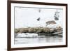 Bobcat Stalking a Muskrat-Rob Tilley-Framed Photographic Print