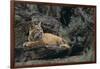 Bobcat-DLILLC-Framed Photographic Print