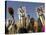 Bobo Masks During Festivities, Sikasso, Mali, Africa-De Mann Jean-Pierre-Stretched Canvas