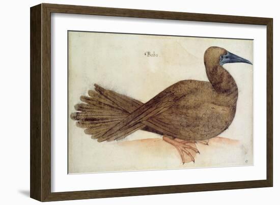 Bobo-John White-Framed Giclee Print